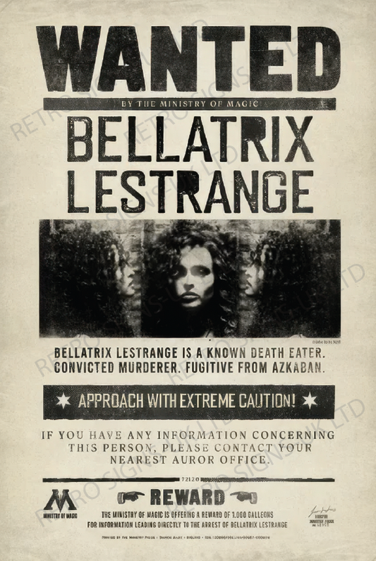 Harry Potter Bellatrix